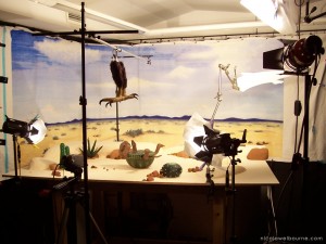 Sun-dried Set