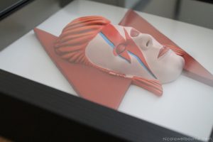 bowie_model_nicolawelbourne_009