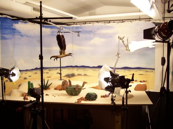 <span>Sun-dried Animation</span><i>→</i>
