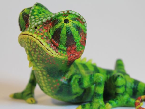 <span>Chameleon Model</span><i>→</i>